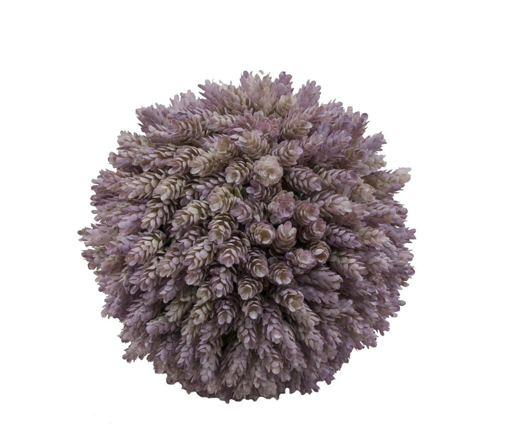 4722820.jpg Bola de Cactus Piña Otoñal - Imagen 1