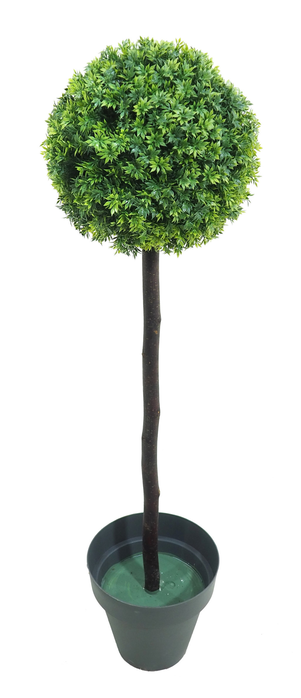 4723202.jpg Árbol de Té verde 1 bola - Imagen 1