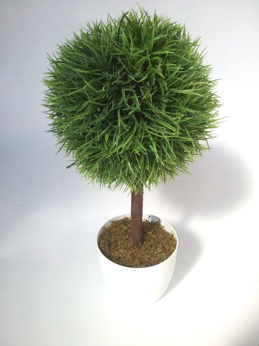 4723410.jpg Árbol Hierba 1 bola - Imagen 1