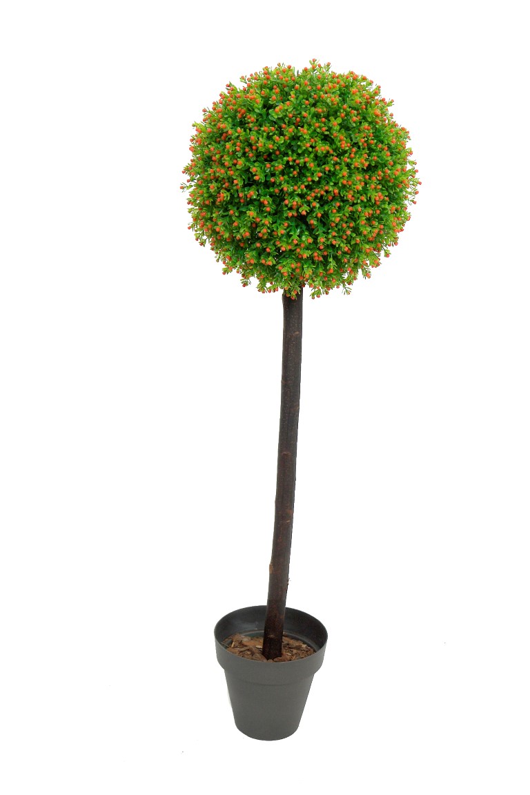 4724302.jpg Arbol de nertera n. 1 bola tronco recto - Imagen 1