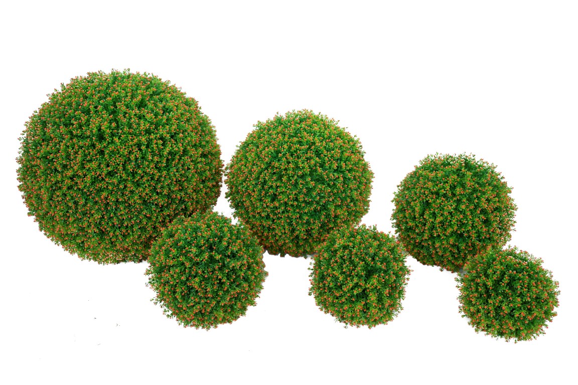 4724320.jpg Bola de Nertera naranja - Imagen 1