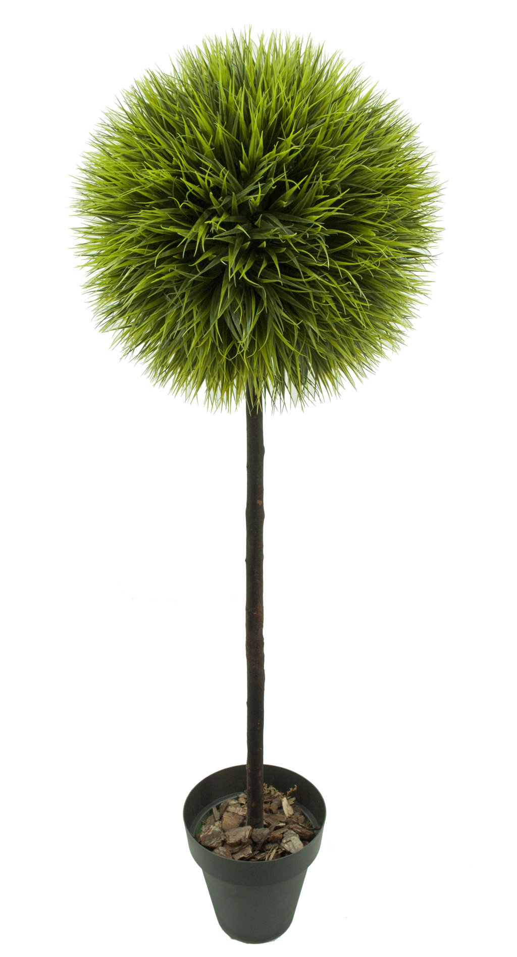 4726001U.jpg Arbol de Hierba ancha 1 bola tronco recto - Imagen 1