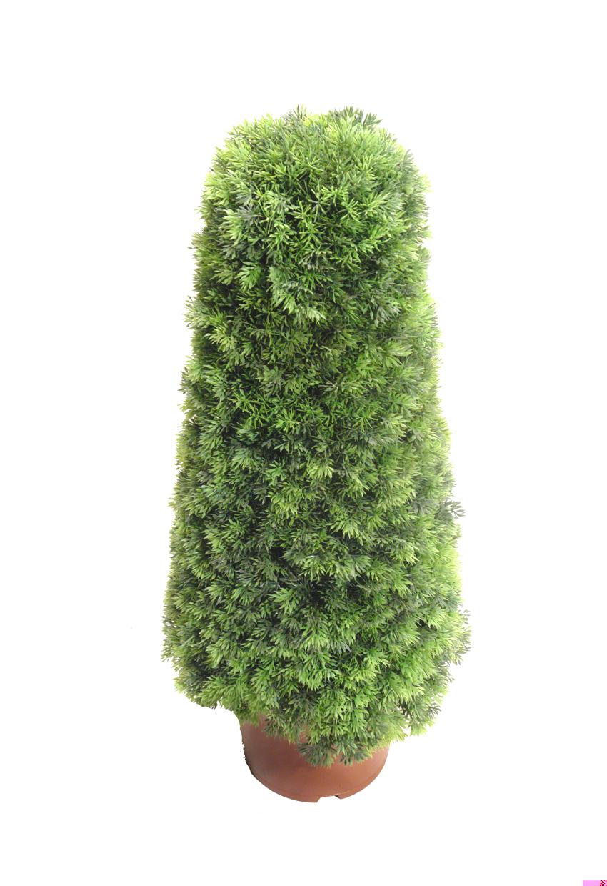 4730202.jpg Cono de pino - Imagen 1