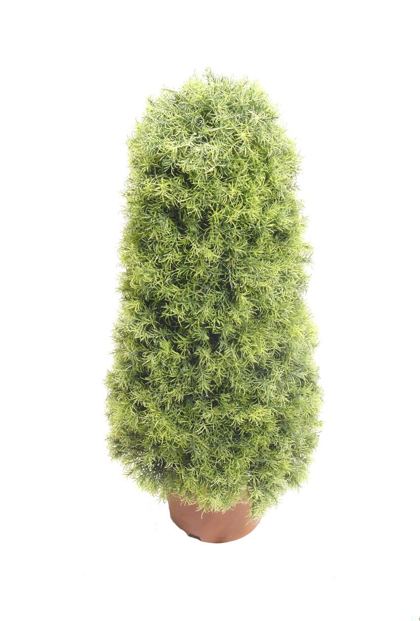 4732402.jpg Cono de springeri verde - Imagen 1