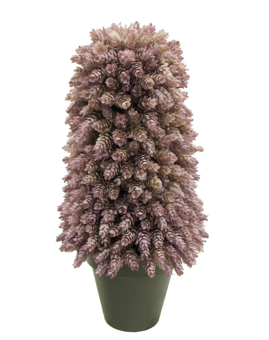 4732802.jpg Cono de cactus piña Otoñal - Imagen 1