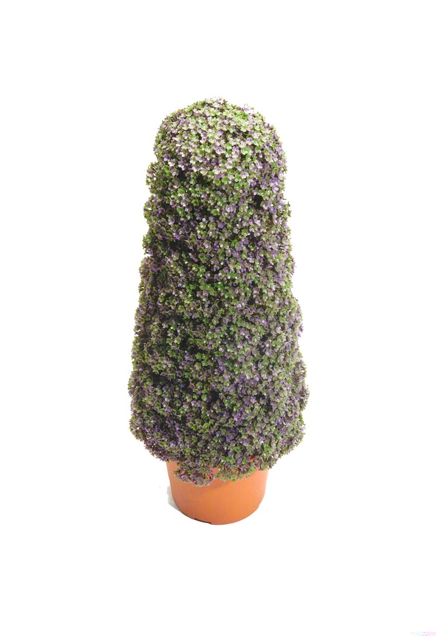4733002.jpg Cono de verbena - Imagen 1