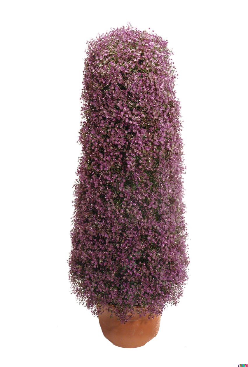 4734202.jpg Cono de Gipsófila morada - Imagen 1
