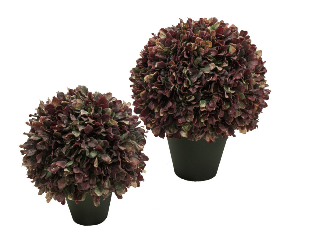 4741802.jpg 3/4 bola de lechuga roja con maceta - Imagen 1