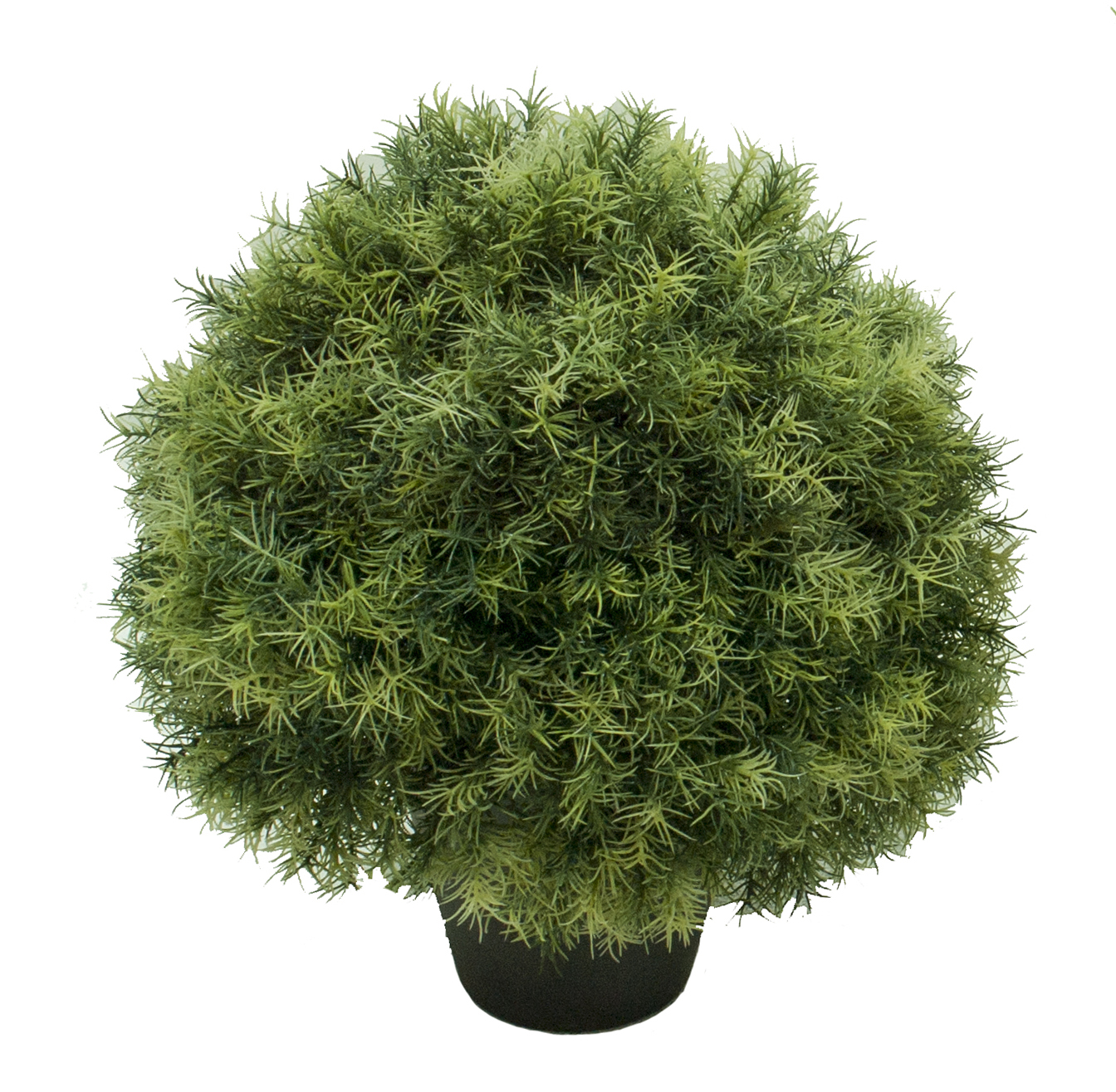4742402.jpg 3/4 bola de Springeri con maceta - Imagen 1