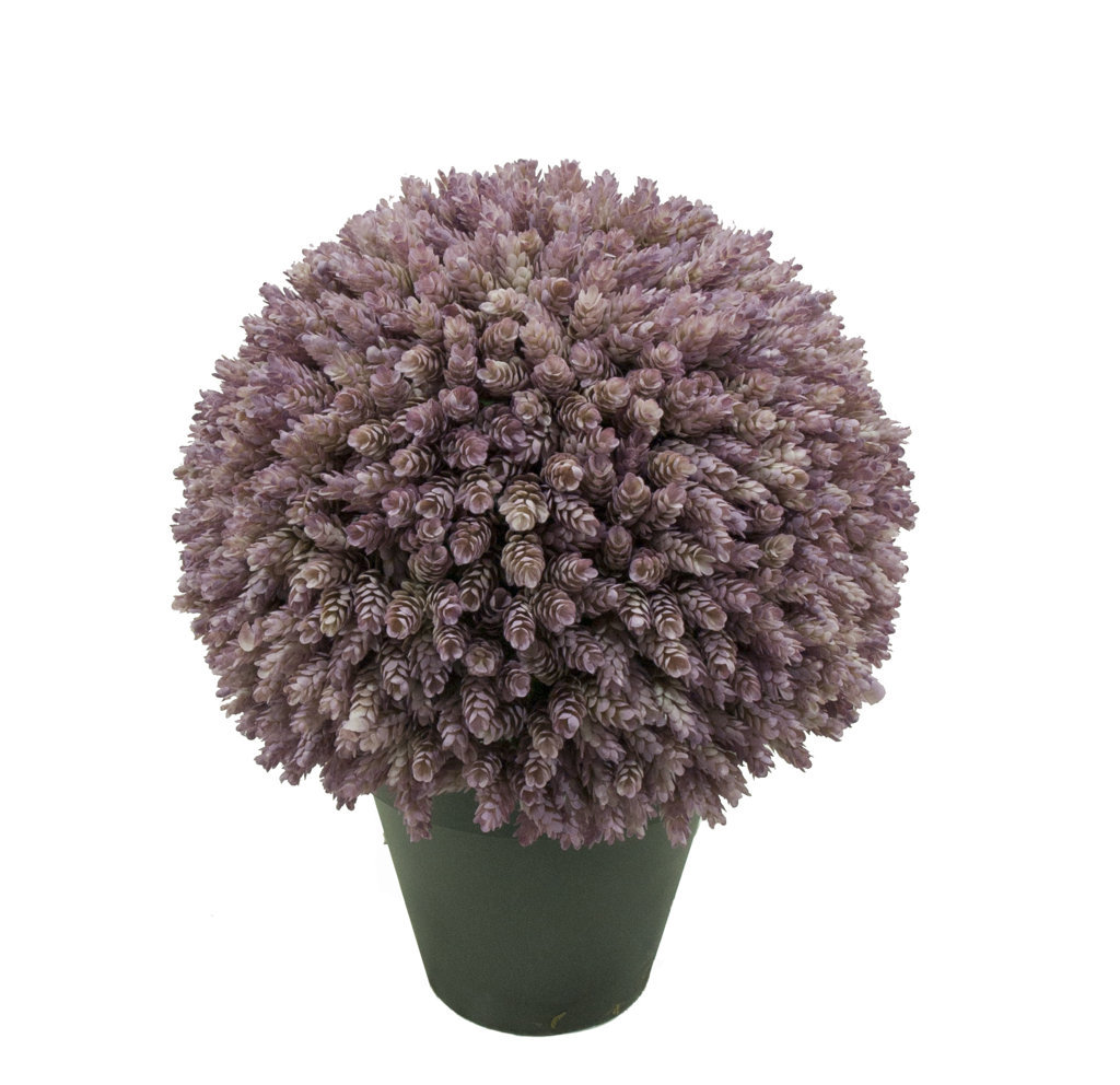 4742802.jpg 3/4 bola Cactus Piña Otoñal con maceta - Imagen 1