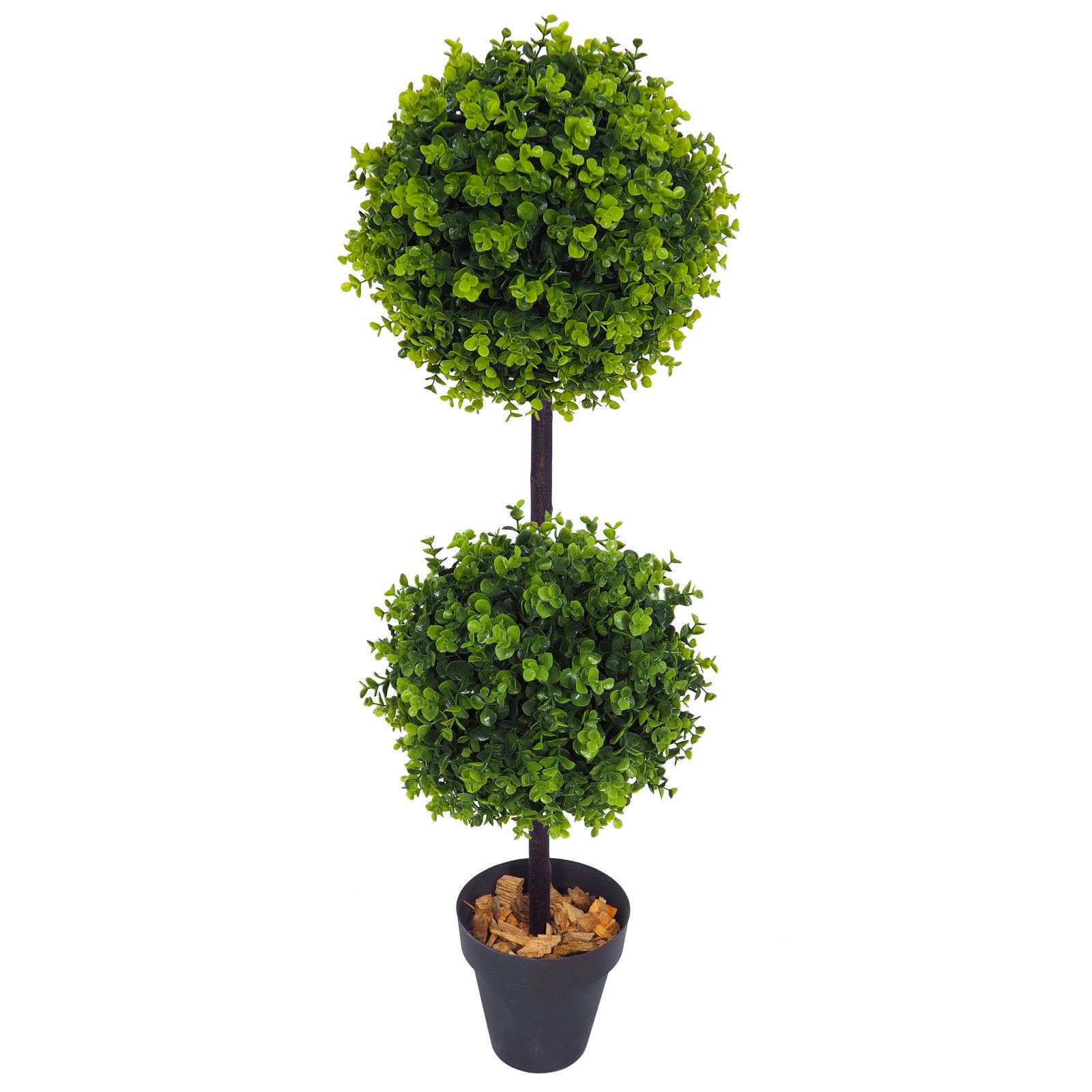 4751301.jpg Árbol de Eucaliptus 2 bolas - Imagen 1