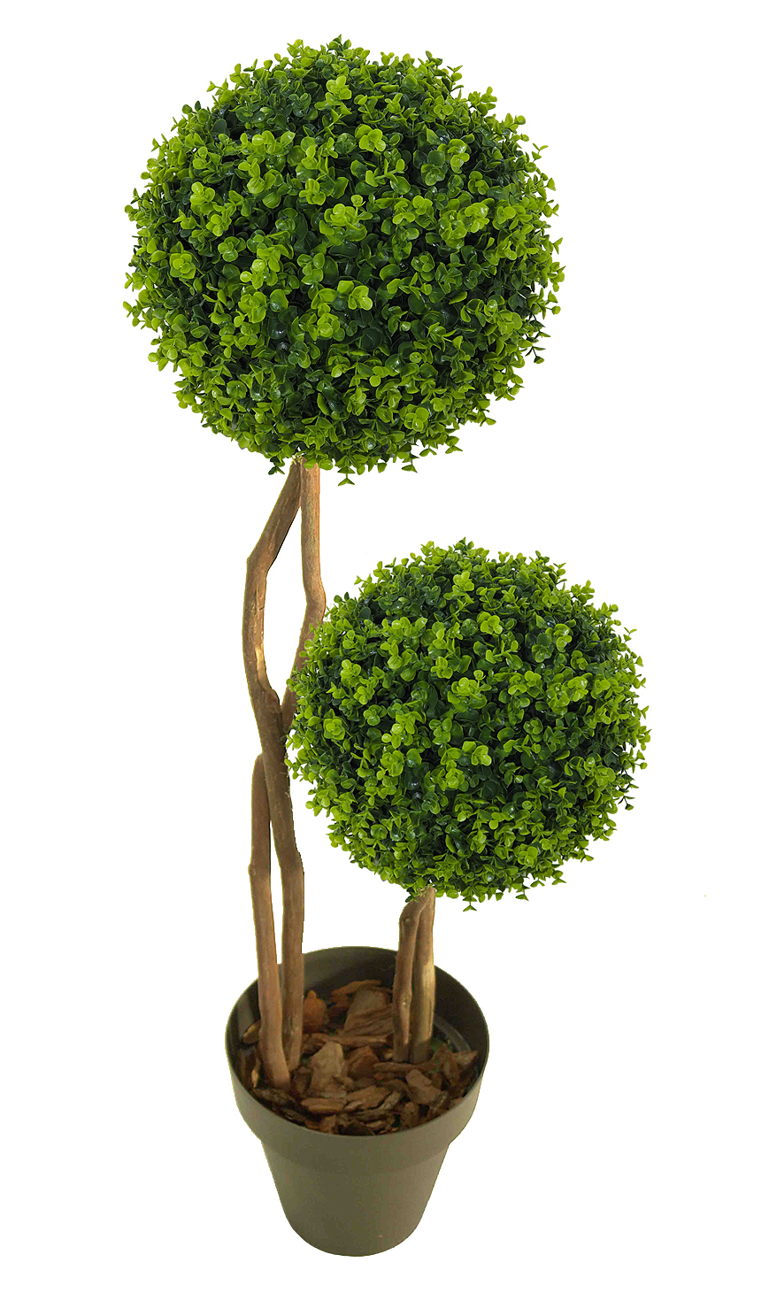 4751340.jpg arbol de eucaliptus 2 bolas - Ø25x110cm - Imagen 1