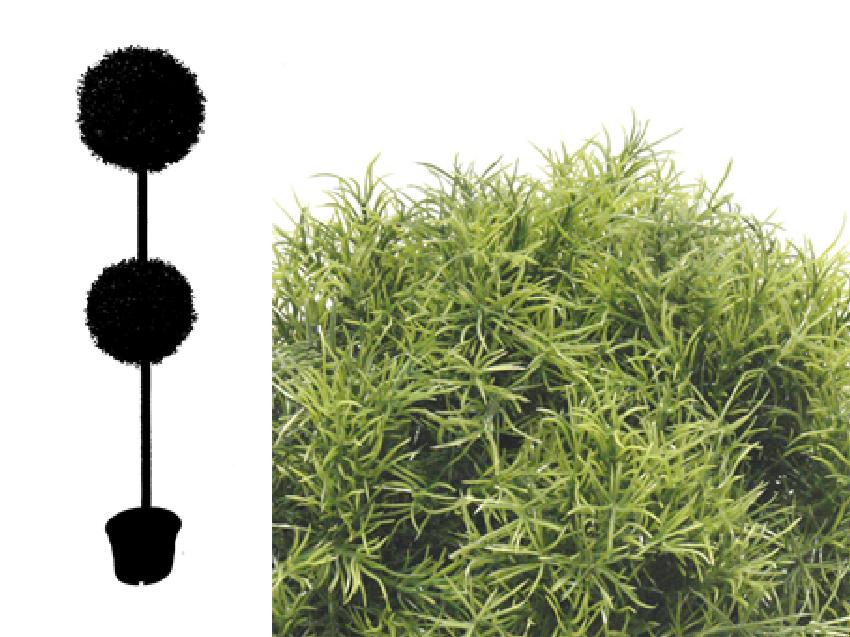 4752401.jpg Árbol de Springeri 2 bolas - Imagen 1