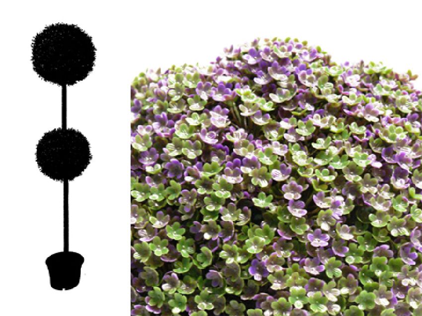 4753001.jpg Árbol de Verbena 2 bolas Ø - Imagen 1