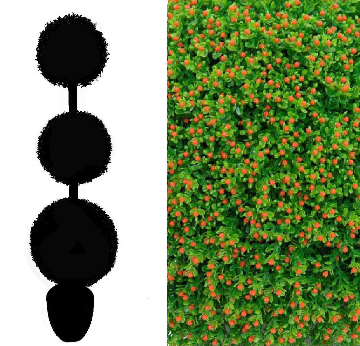 4754305.jpg arbol de nertera n. 3 bolas - Ø45/35/30x165cm - Imagen 1