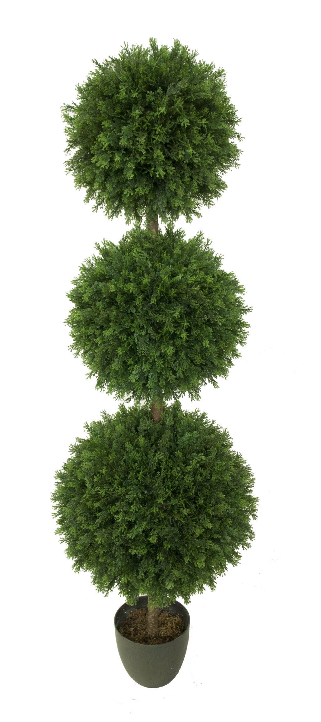 4757417.jpg Arbol de Tuya 3 bolas tronco recto - 165cm - Imagen 1