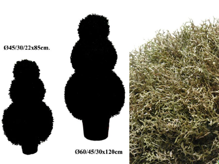 4771402.jpg 3 bolas Alga verde con maceta - Imagen 1