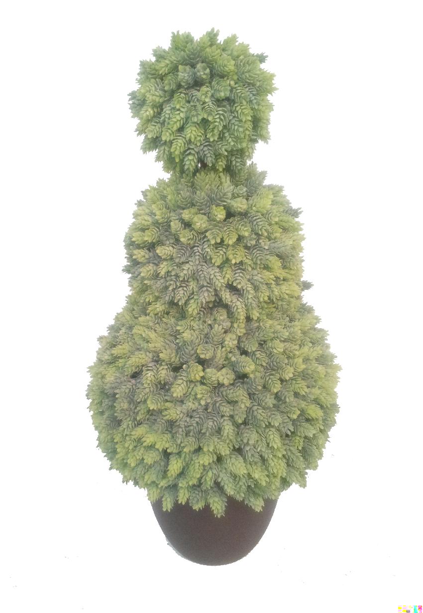 4771902.jpg 3 bolas Cactus Piña/lupulo con maceta - Imagen 1