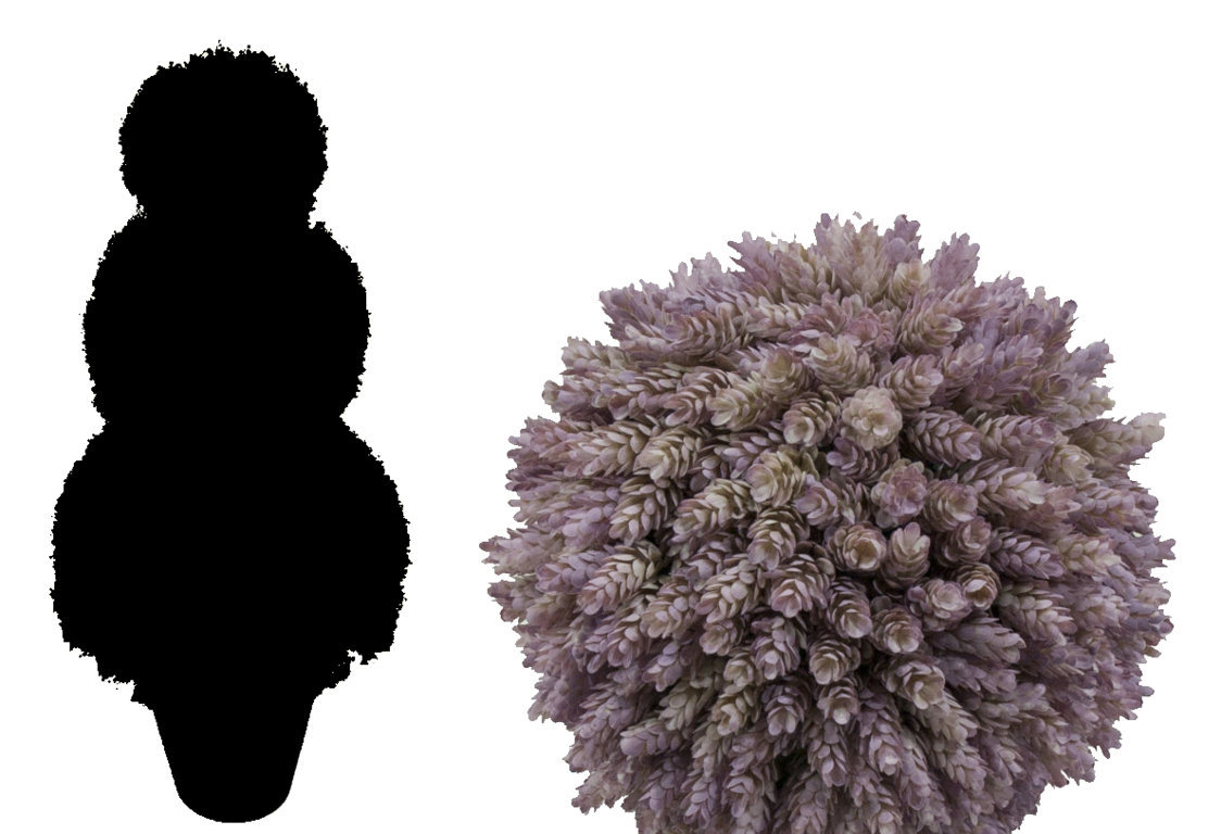 4772802.jpg 3 bolas cactus piña Otoñal con maceta - Imagen 1