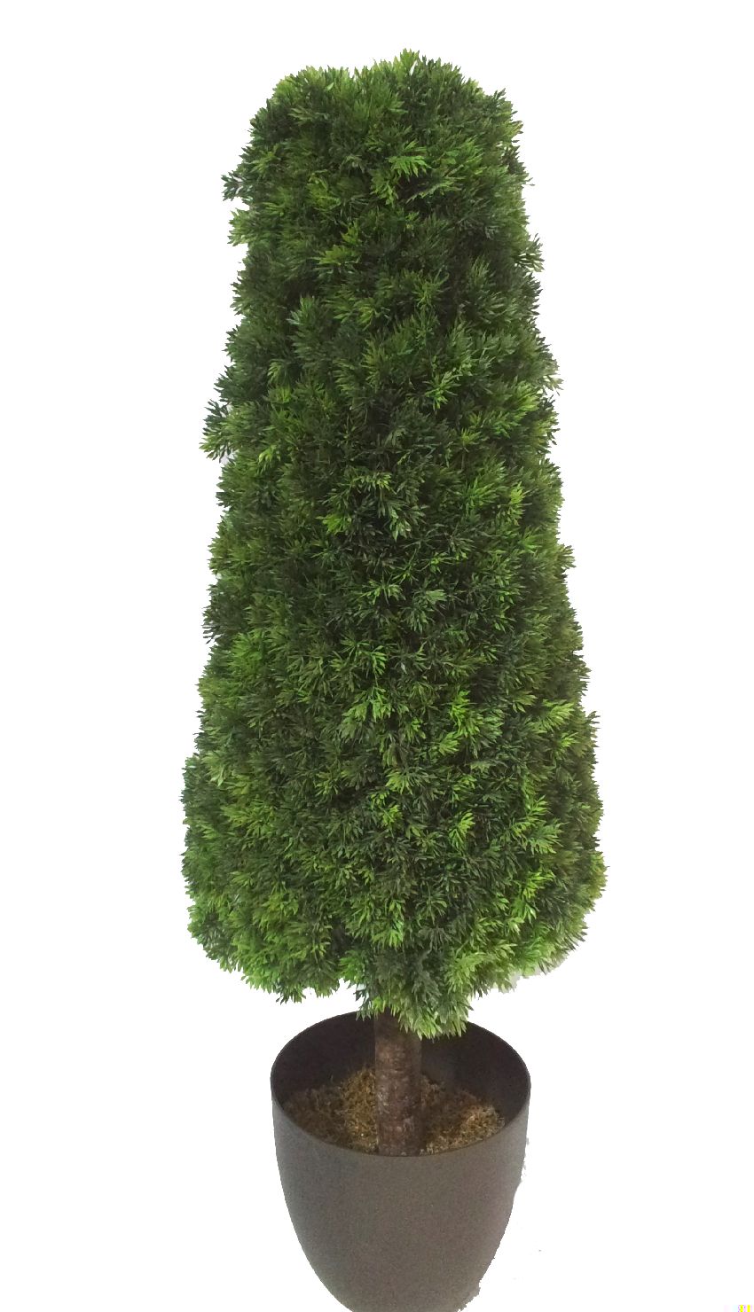 4780222.jpg Cono de pino con tronco - Imagen 1