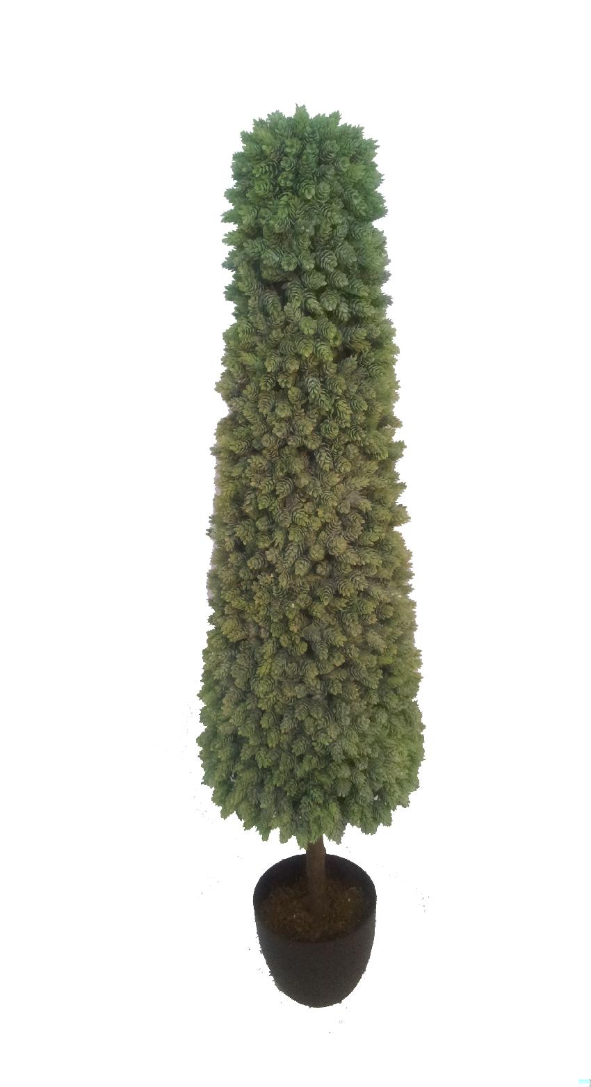 4781922.jpg Cono de Cactus piña/lupulo con tronco - Imagen 1