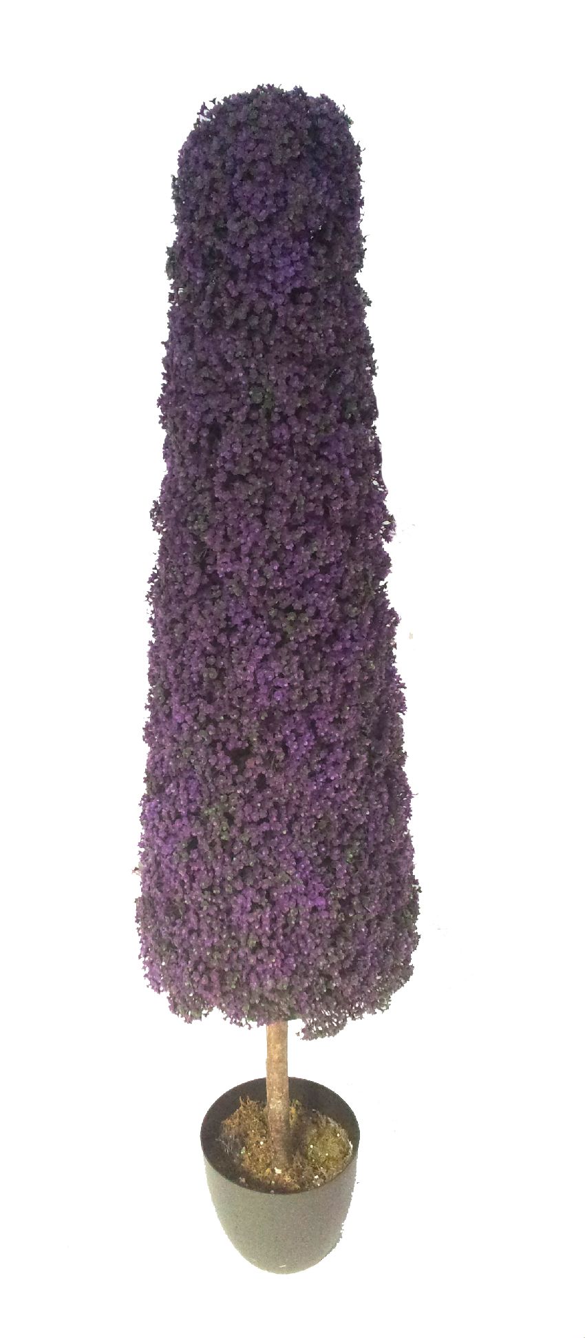 4783022.jpg Cono de Verbena con tronco - Imagen 1