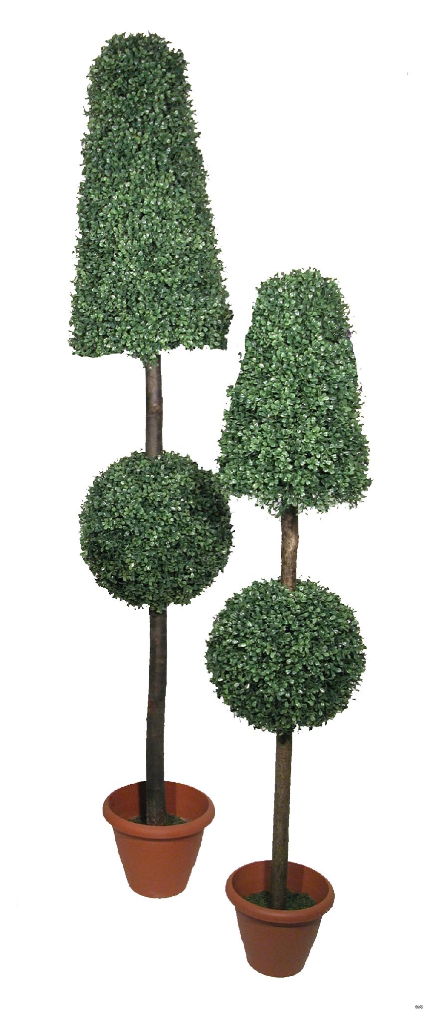 4790101.jpg Cono + bola de Mini Boxwood - Imagen 1