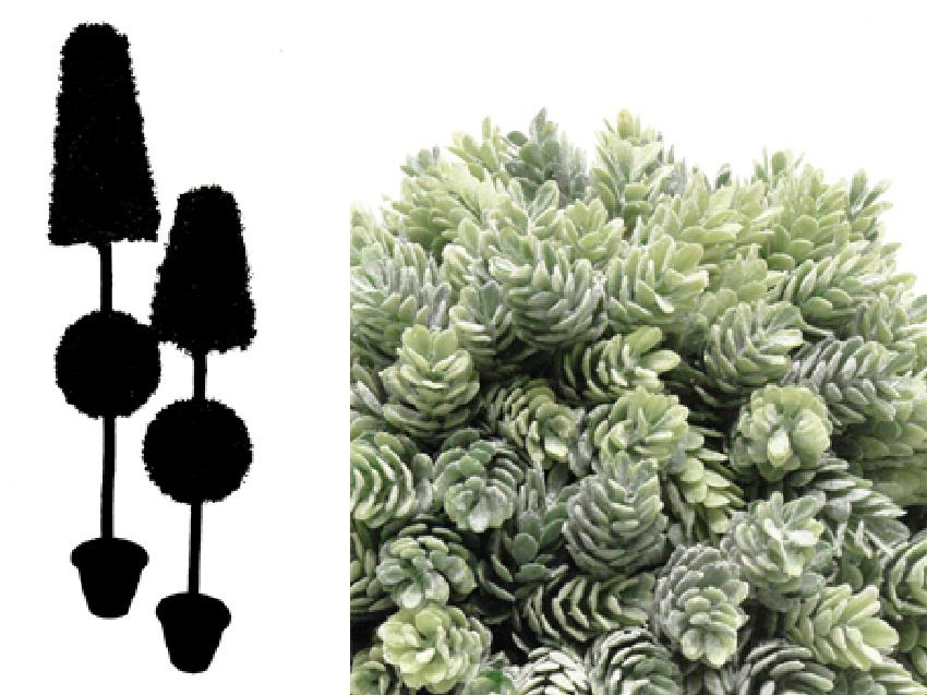4791901.jpg cono + bola de cactus piña/lupulo - Imagen 1