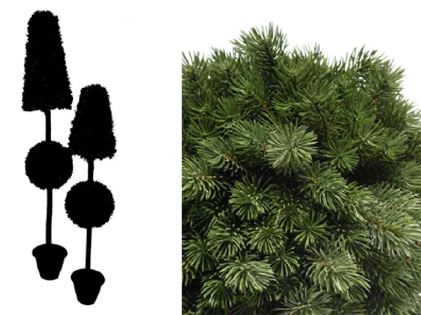 4792601.jpg Cono + bola de Pino picea - Imagen 1