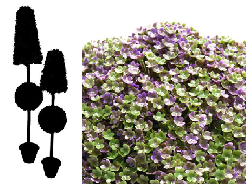 4793001.jpg cono + bola de verbena - Imagen 1