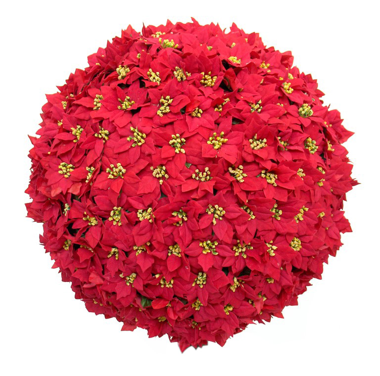 4800176.jpg Bola de ponsetia roja - Ø80cm - Imagen 1
