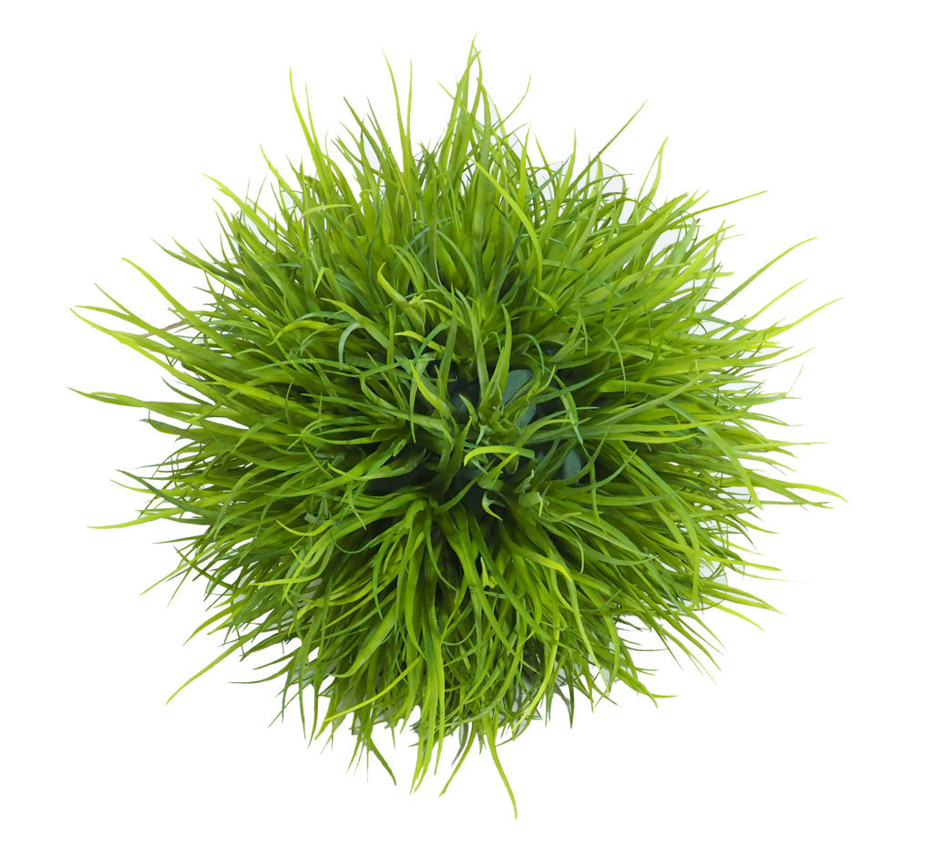4800182A.jpg Bola de Tillandsia verde- Ø40 cm. - Imagen 1