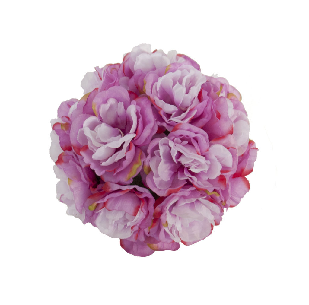 4800532.jpg Bola de Peonia rosa - Imagen 1