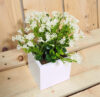 White box Eucaliptus violeta- 8x8x18cm