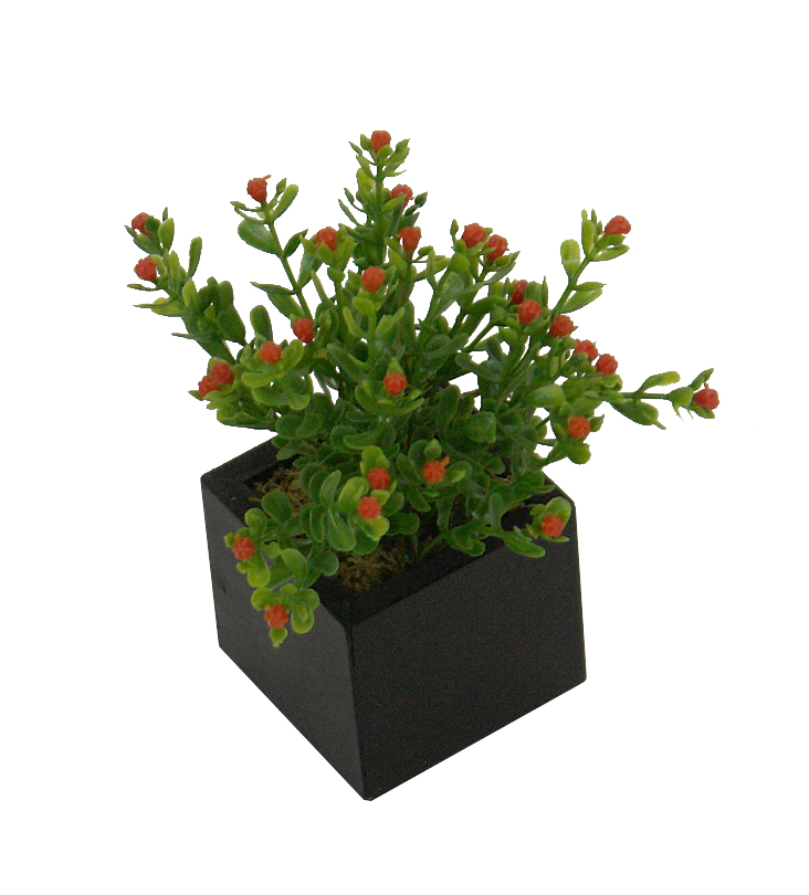 4840069.jpg Black box nertera naranja - 6x6x14cm - Imagen 1