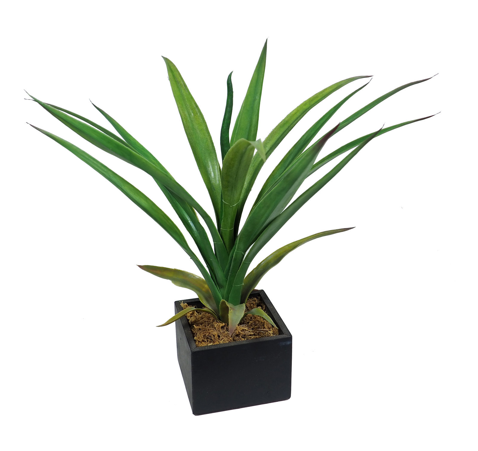 4840351.jpg Black box Yuca Tropic - 11x11x36cm - Imagen 1