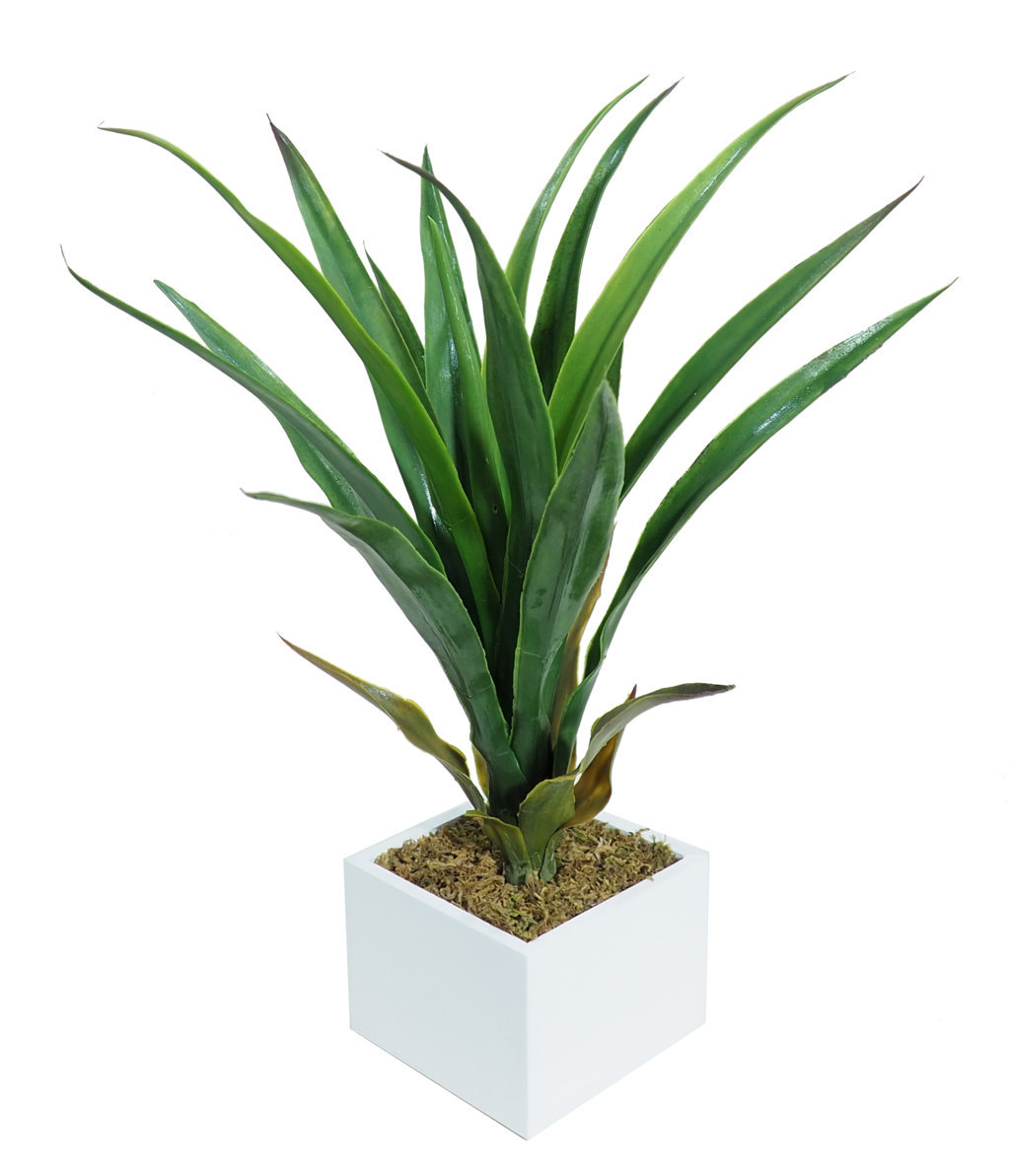 4840351B.jpg White box Yuca Tropic - 11x11x36cm. - Imagen 1
