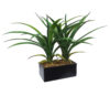 Black Box Yuca Tropic plastico - 20x11x36cm