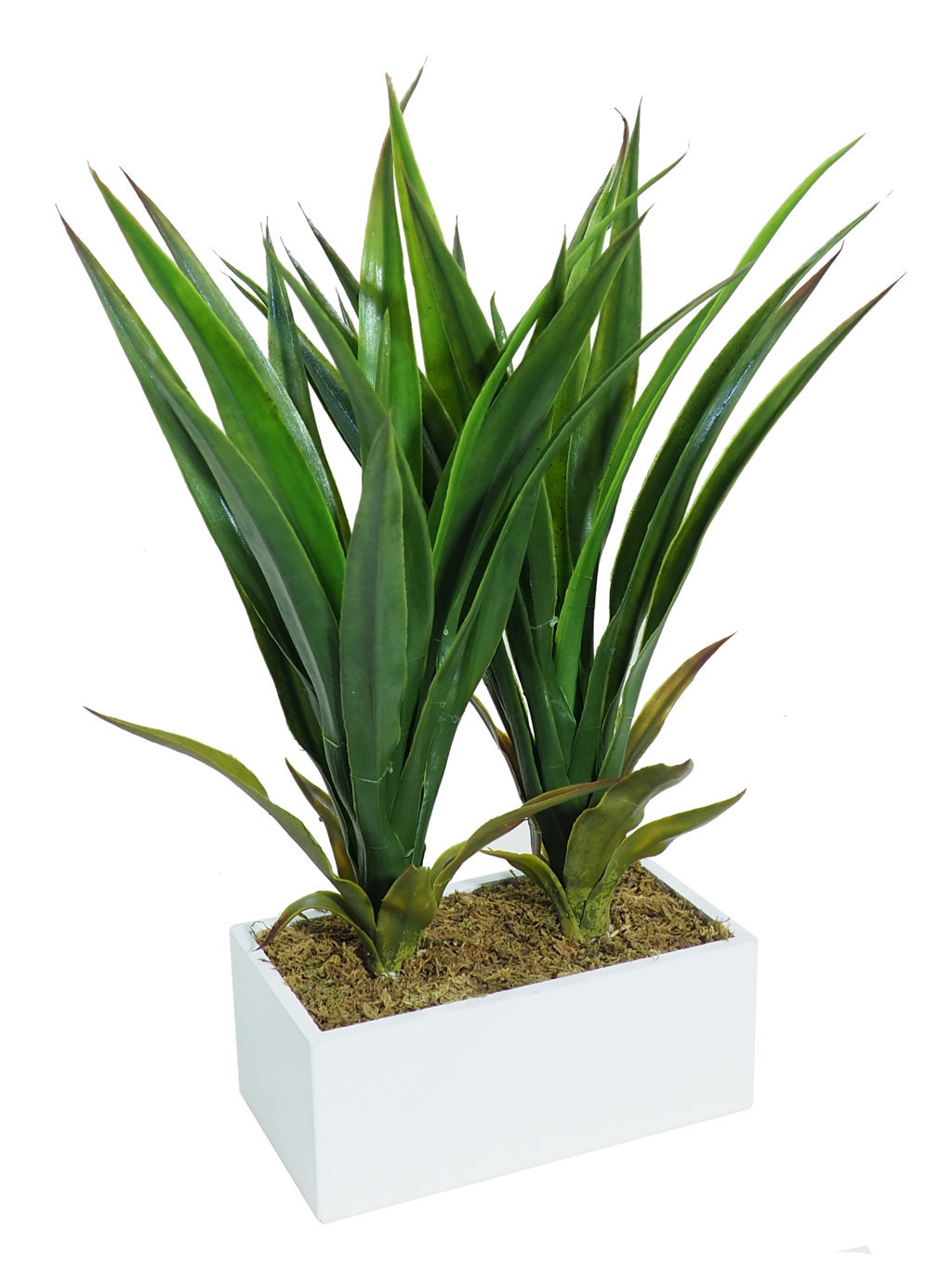 4840355B.jpg White Box Yuca Tropic plastico - 20x11x36cm - Imagen 1