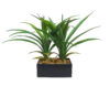 Black Box Yuca Tropic plastico - 20x11x36cm - Imagen 2