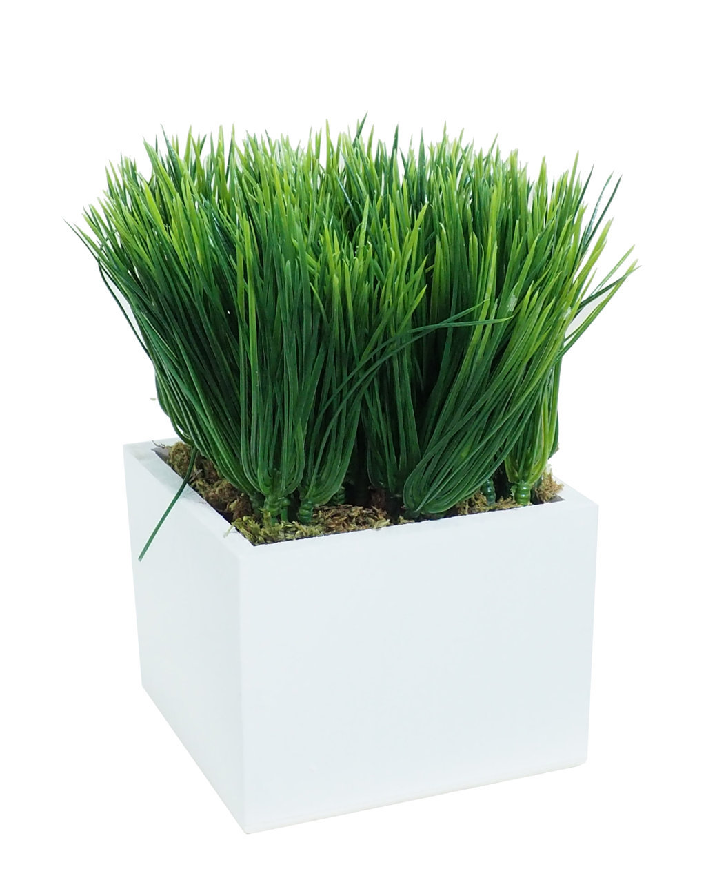 4841071B.jpg White box Hierba verde alta - 11x11x20cm - Imagen 1