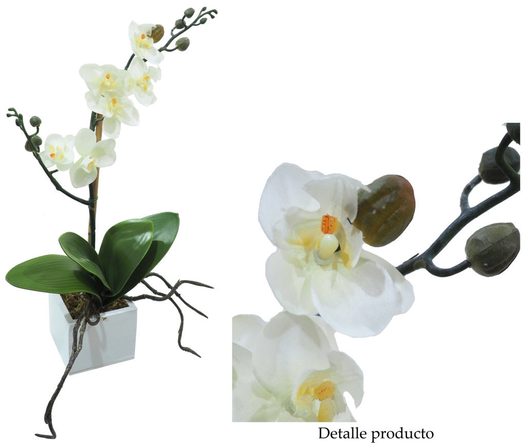 4841150B.jpg White box Orquídea crema - 8x8x38cm - Imagen 1
