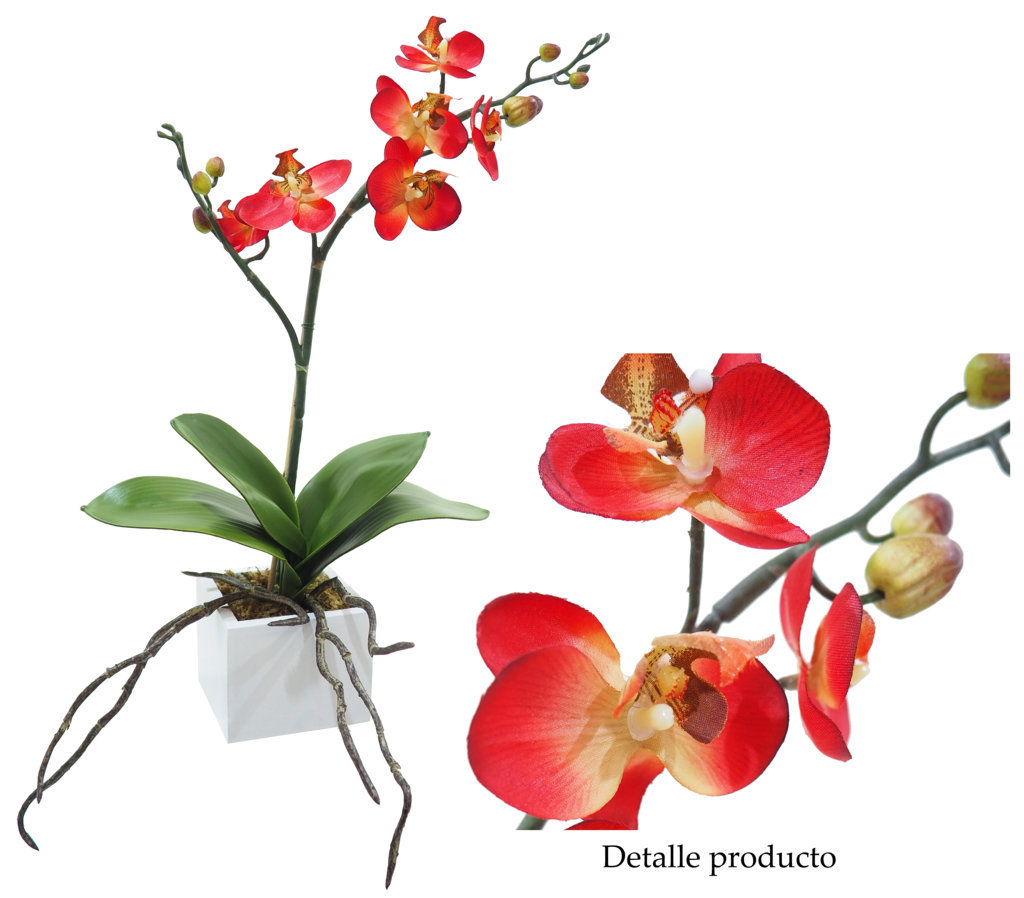 4841180B.jpg White box Orquídea naranja - 8x8x38cm - Imagen 1