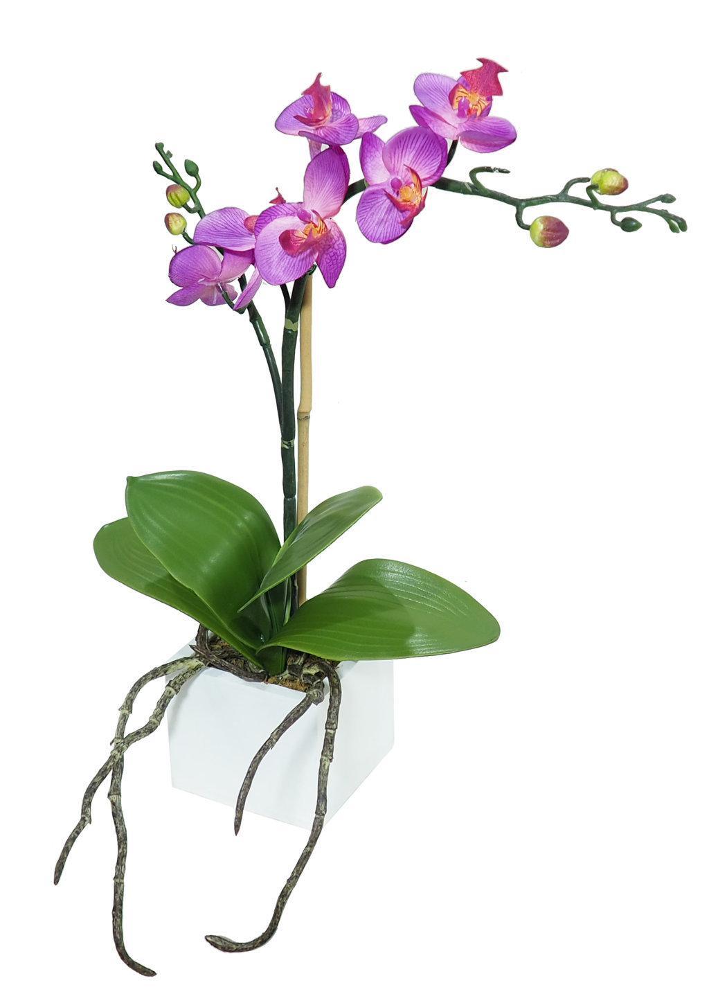 4841200B.jpg White box Orquídea violeta - 8x8x38cm - Imagen 1