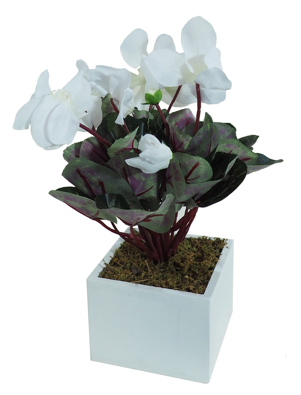 4841278B.jpg White box Ciclamen crema - 11x11x30cm. - Imagen 1