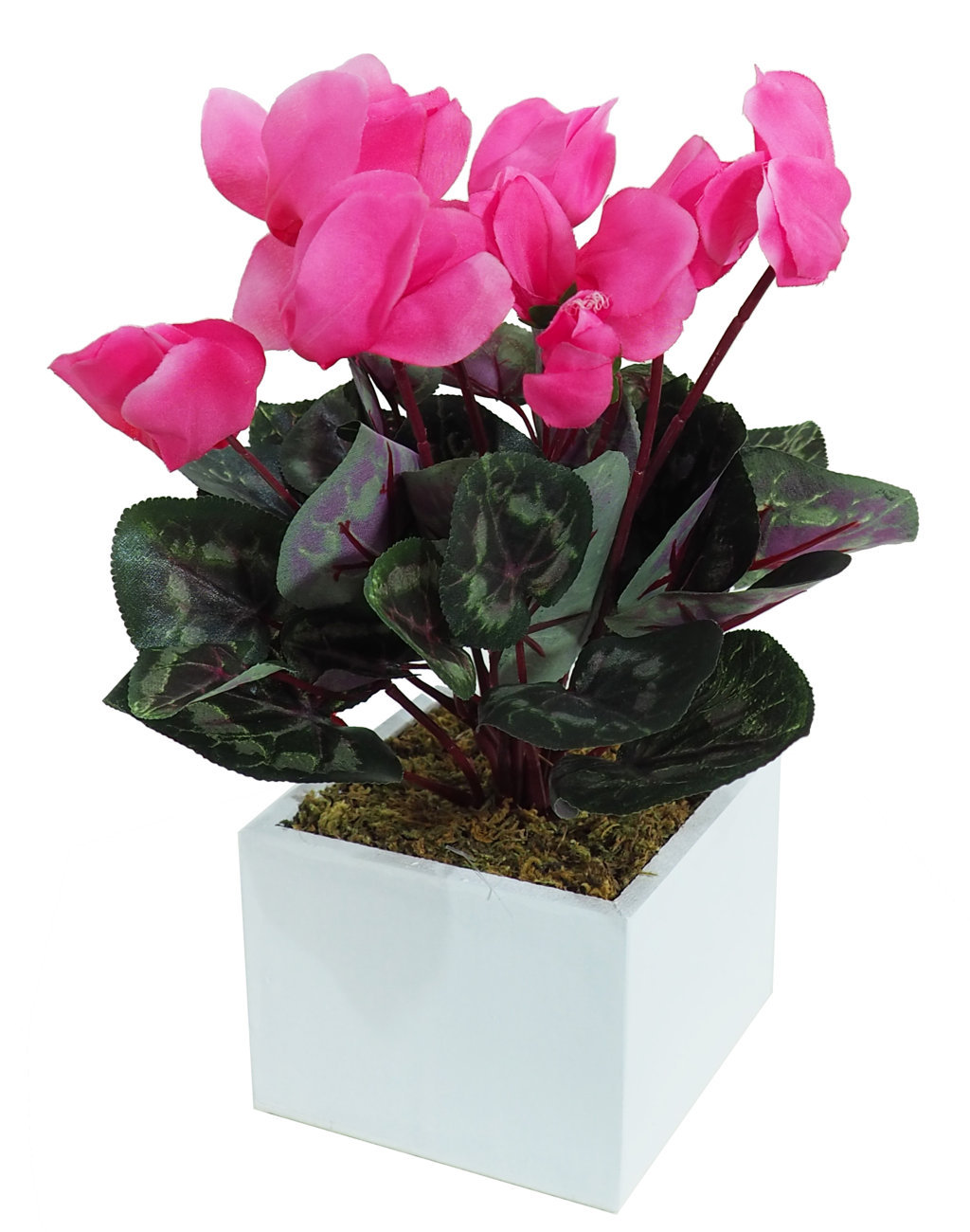 4841279B.jpg White box Ciclamen fucsia - 11x11x30cm. - Imagen 1
