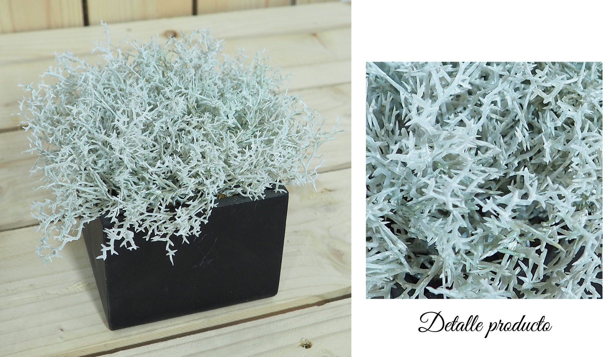 4871111.jpg Black box alga crema - 11x11x16cm - Imagen 1