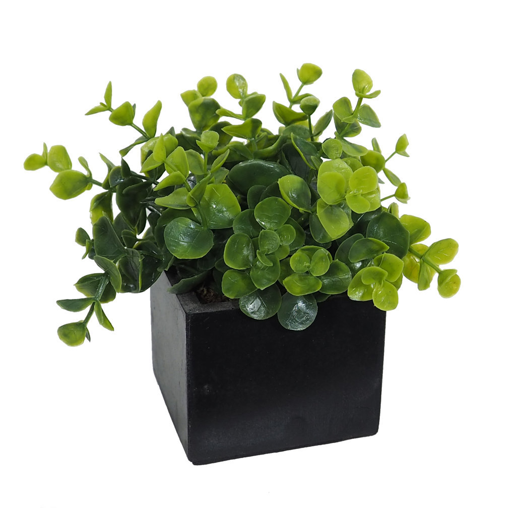 4871310.jpg Black box eucaliptus verde - 8x8x14cm - Imagen 1