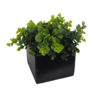 Black box eucaliptus verde -11x11x16cm
