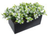 Black box flores silvestres blancas - 20x11x16cm